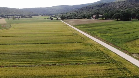 Beautiful fields in Italy Stock Footage 114960782