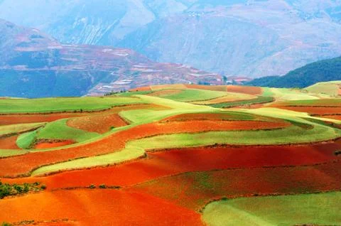 Beautiful fields landscapes Stock Photos
