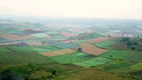 Beautiful fields in Mynmar. Stock Footage 156092128