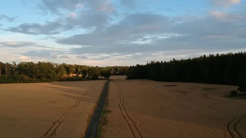 Beautiful fields at sunrise Stock Footage 114982829