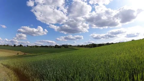 Beautiful Fields Of Ukraine 2 Stockbeeldmateriaal 196659064