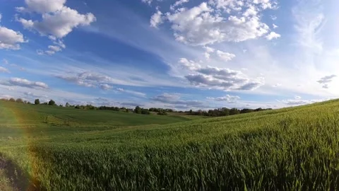 Beautiful Fields Of Ukraine Stockbeeldmateriaal 196655165