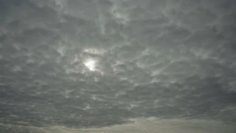 Beautiful fine-grained clouds go across the sky into the distance Stock Footage 227123614