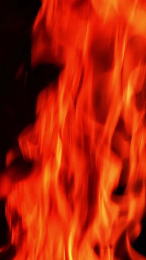 Beautiful fire flame going up.  Stock Footage 308305795