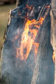 Beautiful fire flames on a campfire Stock Photos