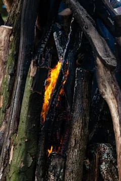 Beautiful fire flames on a campfire Stock Photos