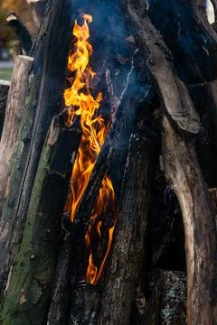 Beautiful fire flames on a campfire Stock Photos