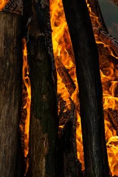 Beautiful fire flames on a campfire Stock Photos