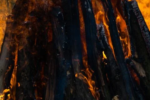 Beautiful fire flames on a campfire Stock Photos