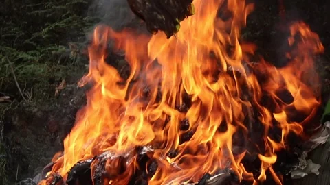 Beautiful Fire Flames Stock Footage 291915101
