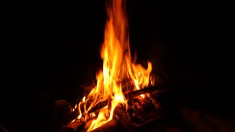 Beautiful fire in the night. Stock Footage 75789708