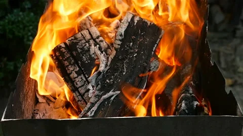 Beautiful fire. Slow motion Stock Footage 101466334