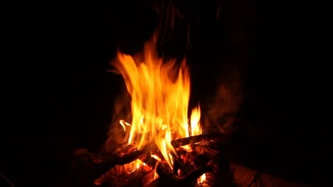 Beautiful fire in the twilight. Stock Footage 75789718