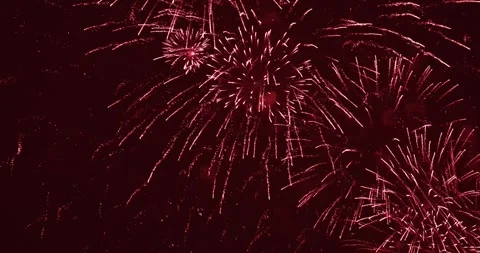 Beautiful firework in dark sky. The color is red Video stock 266068689