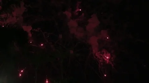 Beautiful Firework Display Independence Day Stock Footage