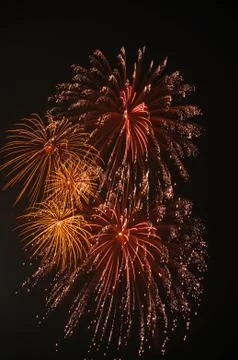 Beautiful firework display on sky at night Stock Photos