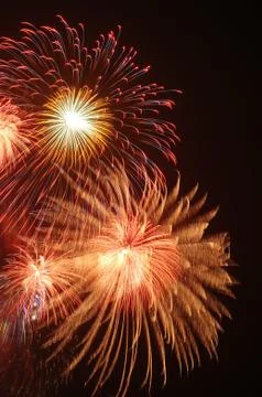 Beautiful firework display on sky at night Stock Photos