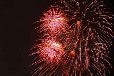 Beautiful firework display on sky at night Stock Photos