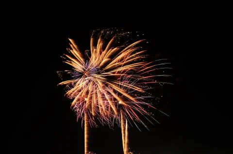 Beautiful firework display on sky at night Stock Photos