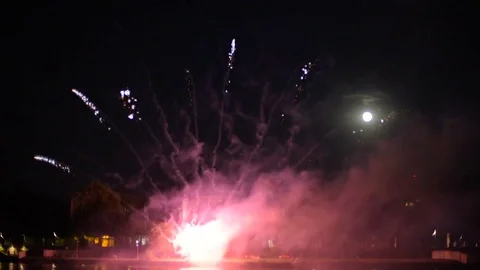 Beautiful firework show. Celebration concept Vidéo 82351102