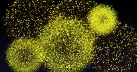 Beautiful firework on sky  with background best for new year party  動画素材 281308975