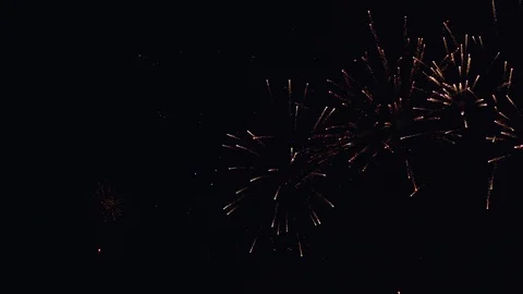 Beautiful fireworks exploding against black sky Stock Footage 100521109