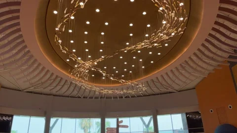 A beautiful fish market inside ceiling view in Dubai Stock Footage 233855395