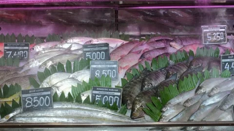 Beautiful fish stand full of assortment seafood products, selling and buying Stock Footage 169351870