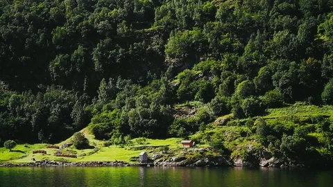 Beautiful Fjord Norway. Thick Mist On Trees. Tracking Shot. Kodak LUT Stock Footage