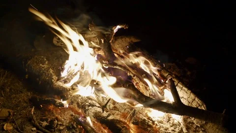 Beautiful flame of a night campfire Stock Footage 117145097