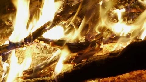 Beautiful flame of a night campfire Stock Footage 117145130