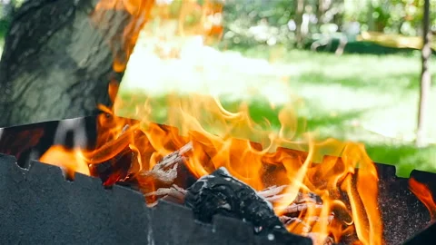 Beautiful flames of fire. Slow motion Stock Footage 101467625