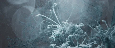Beautiful flares. Tree under the snowfall in the city at night. Massive blizzard Stock Footage 148380012