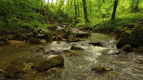 Beautiful flight close to dreamy forest stream Vídeo Stock 129615264
