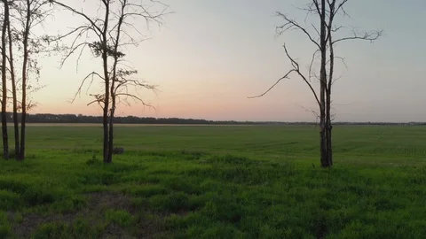 Beautiful flight over the field Stock Footage 125386282