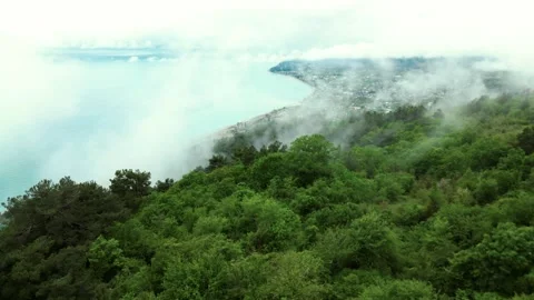 Beautiful flight over a green mixed deciduous forest in a haze of vapor clouds Stock Footage 274403501
