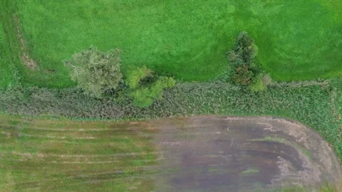 A beautiful flight on a quadcopter over fields with green grass. Stock Footage 251419614