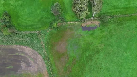 A beautiful flight on a quadcopter over fields with green grass. Top view Video stock 251549742