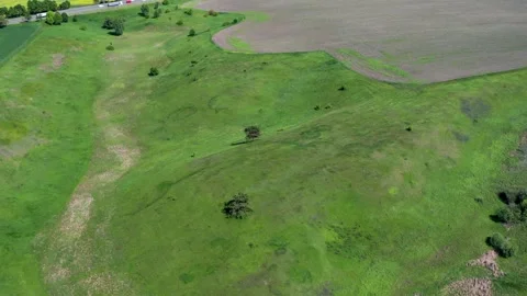 A beautiful flight in the spring on a quadcopter over a field Stock Footage 204891846