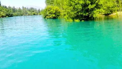 The Beautiful flight on water. Stock Footage 92810072