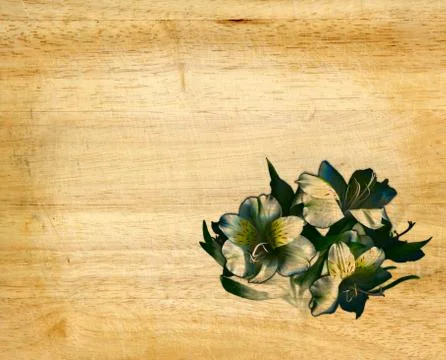 Beautiful floral background with a texture tree Stock Photos