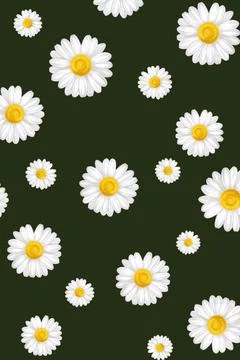 Beautiful floral pattern of white daisy flowers on dark green background Stock Illustration