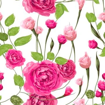 Beautiful floral vector seamless pattern. Pink rose flowers with leaves on wh Stock Illustration