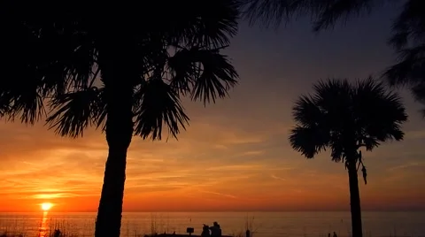 Beautiful florida beach sunset Vídeos de archivo 45520366