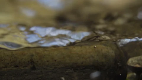 Beautiful flow of water on the river bed Stock Footage 143776727