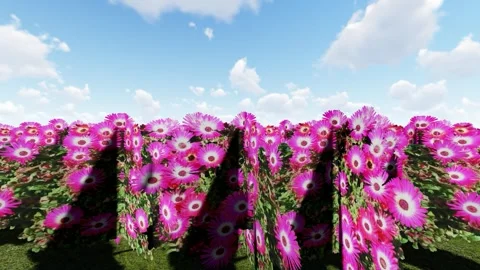 Beautiful flower with air 動画素材 340559554