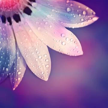 Beautiful flower border Foto stock