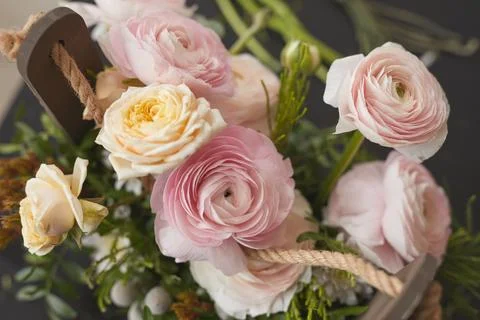 Beautiful Flower Composition Close Up Stock Photos