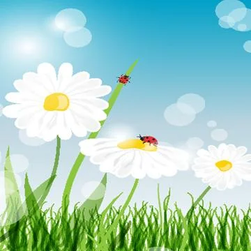 Beautiful flower daisy on background Stock Illustration