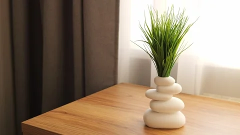 Beautiful flower elegantly complements modern interior Flowers decorate interior Stock Footage 266409632
